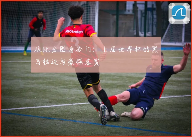 从比分图看冷门：上届世界杯的黑马轨迹与豪强落寞