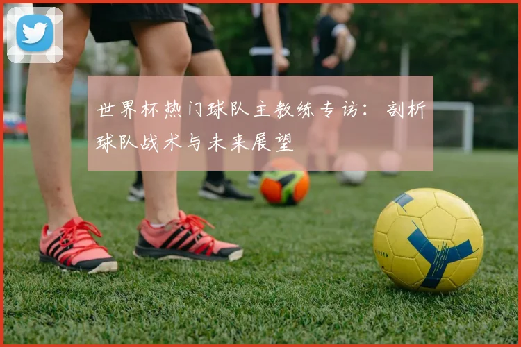 世界杯热门球队主教练专访：剖析球队战术与未来展望