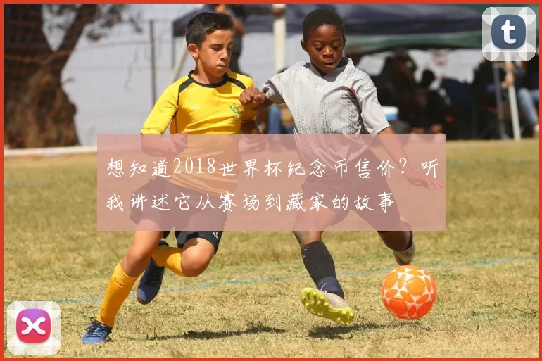 想知道2018世界杯纪念币售价？听我讲述它从赛场到藏家的故事