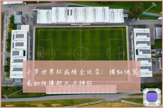 小罗世界杯成绩全记录：揭秘他究竟如何捧起大力神杯